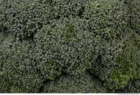 broccoli 0016